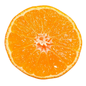 Clementine (Nova)